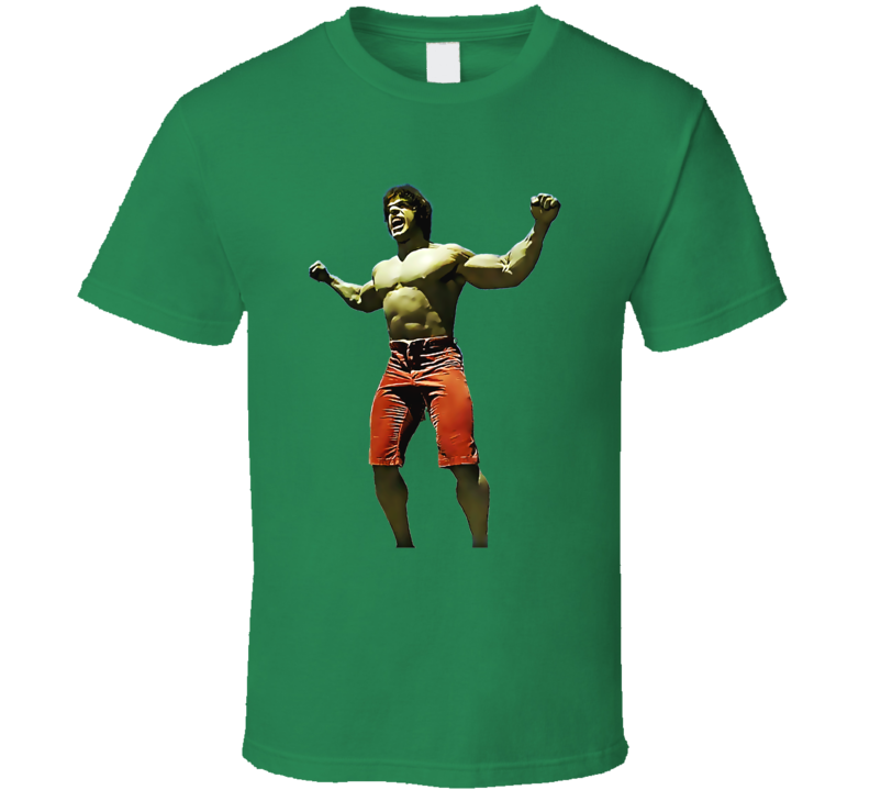 Lou Ferrigno The Incredible Hulk T Shirt Lou Ferrigno The Incredible Hulk T Shirt