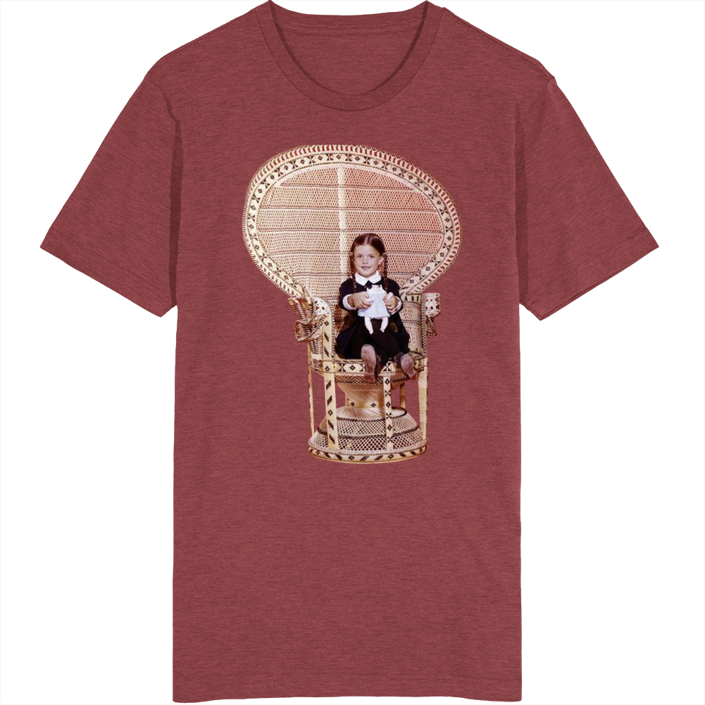Wednesday Addams The Addams Family T Shirt Wednesday Addams The Addams Family T Shirt