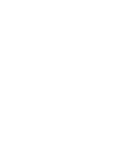 /products/overlays/1001133.png img