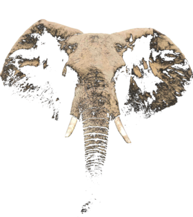 /products/overlays/1049615.png img