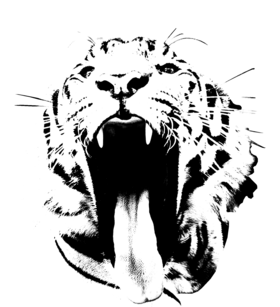 /products/overlays/1156145.png img