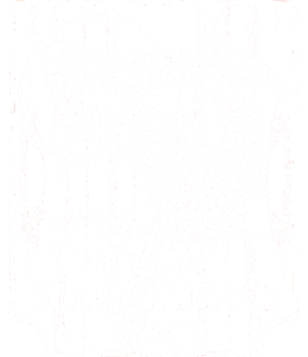 /products/overlays/16751099.png img