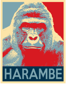 /products/overlays/25196700.png img