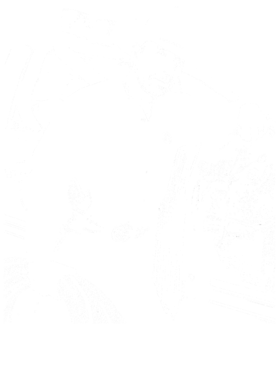 /products/overlays/30613330.png img