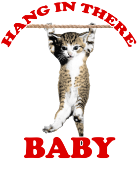 /products/overlays/31750542.png img