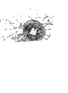 /products/overlays/37179475.png img