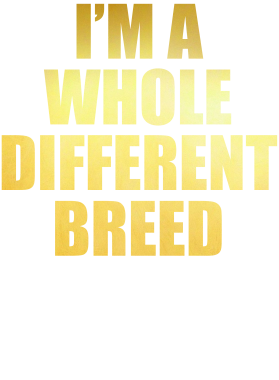 /products/overlays/38406135.png img