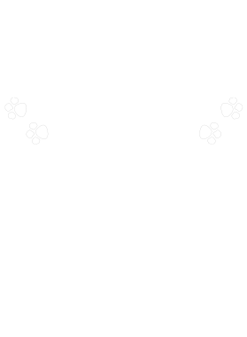 /products/overlays/38440316.png img