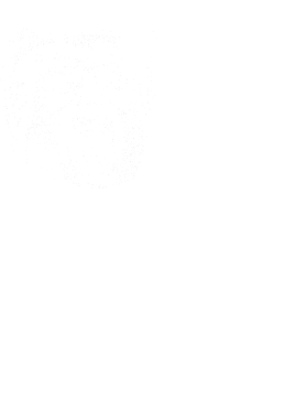 /products/overlays/38472941.png img