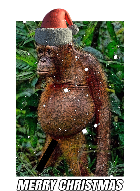 /products/overlays/38495177.png img