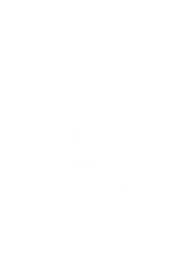 /products/overlays/38916877.png img