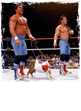 /products/overlays/38963471.png img