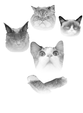 /products/overlays/39046688.png img