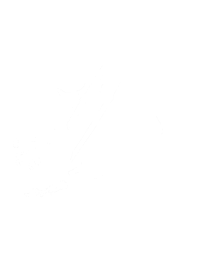 /products/overlays/39065358.png img