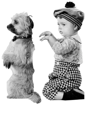 /products/overlays/39122801.png img