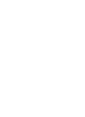 /products/overlays/39143151.png img