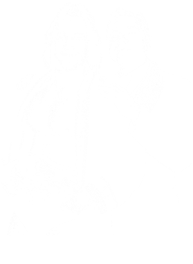 /products/overlays/39216945.png img