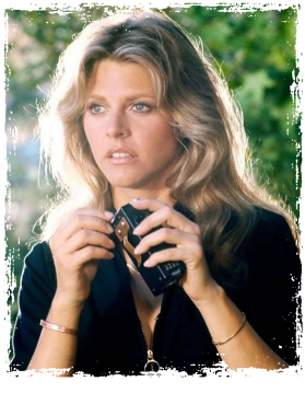 /products/overlays/39218601.png img