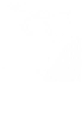 /products/overlays/39237305.png img