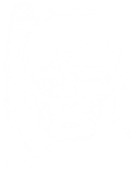 /products/overlays/39252430.png img