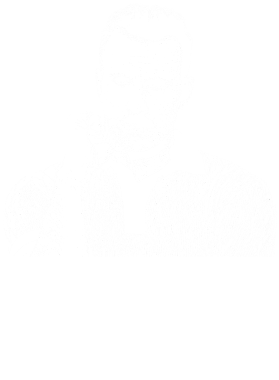 /products/overlays/39309616.png img