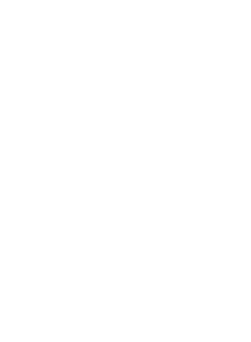 /products/overlays/39323640.png img