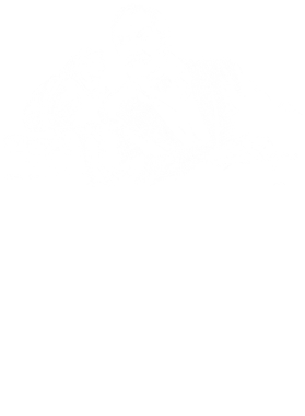 /products/overlays/39323996.png img