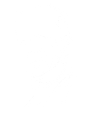 /products/overlays/39328862.png img