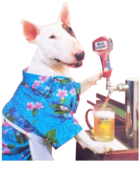 /products/overlays/39526681.png img