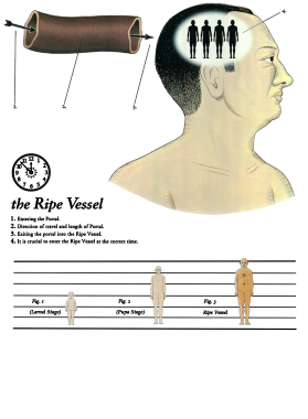 /products/overlays/39548273.png img