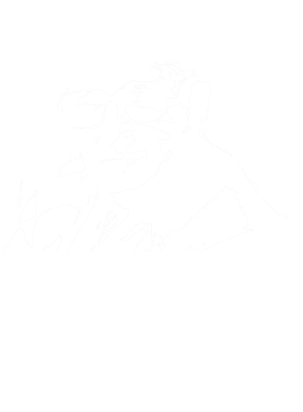 /products/overlays/39568404.png img