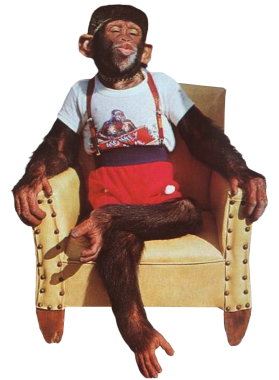/products/overlays/39730275.png img
