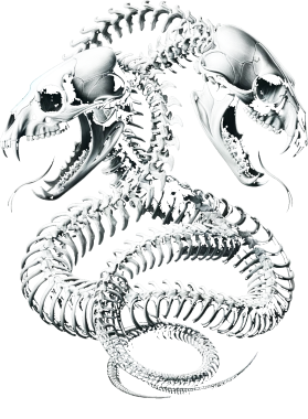 /products/overlays/39831162.png img
