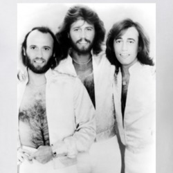 Bee Gees 70s disco Staying Alive music rock dance t shirt 09575