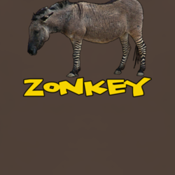 Zonkey zebra donkey hybird funny natural T shirt 1002019
