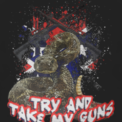 2nd Amendment bare arms Guns Redneck South fan t shirt 1018927