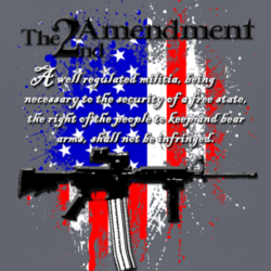 The 2nd Amendment Right to bear Arms USA Guns fan T shirt 1018974