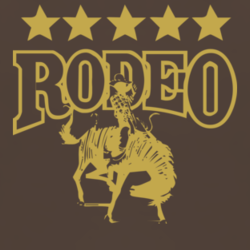 Rodeo Star country western south Texas fan t shirt 1033165