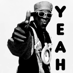 Flavor Flav Public Enemy Hip Hop rap old school t shirt 1036307