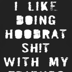 I Like Doing Hoodrat funny college hip hop fan t shirt 1036510