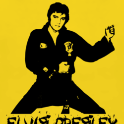The King Karate rock n roll music MMA fan t shirt 1040107