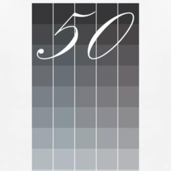 50 Shades of Grey paint samples funny t shirt 1128921