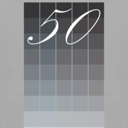 50 Shades of Grey color samples funny sports grey t shirt 1128923