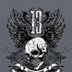 Lucky 13 skull biker rock MMA fan t shirt 1156037