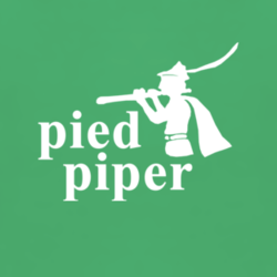 Pied Piper Silicon Valley funny tech geek fan t shirt 1279548