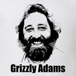 Grizzly Adams RIP Beloved TV Movie Bear Retro Fan T Shirt 18241596