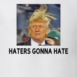 Haters Gonna Hated Donald Trump USA Election Funny Trending T Shirt 20458412