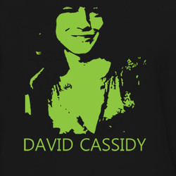 David Cassidy Teen Heartthrob 70s Idol T Shirt 218712