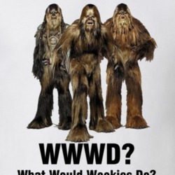 What Would Wookies Do WWWD Star Wars T Shirt 218725