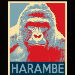 Harambe Gorilla Zoo RIP Pray Hope T Shirt 25196700